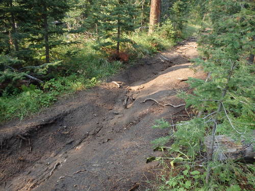 GDMBR: The trail would be challenging like this for the next 4-5 hours.